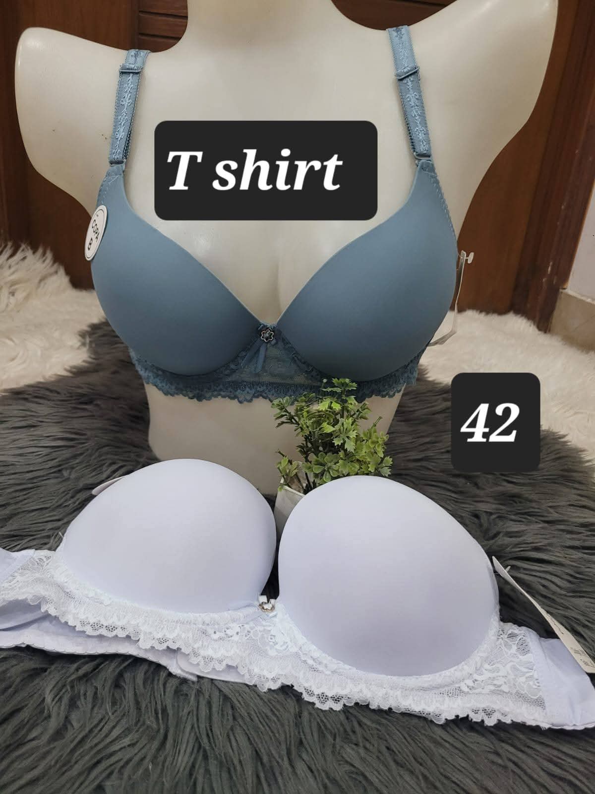 WhatsApp Image 2026-01-12 at 11.26.03 AM (1) Tina Secret Laced T-Shirt Bra - Image 1