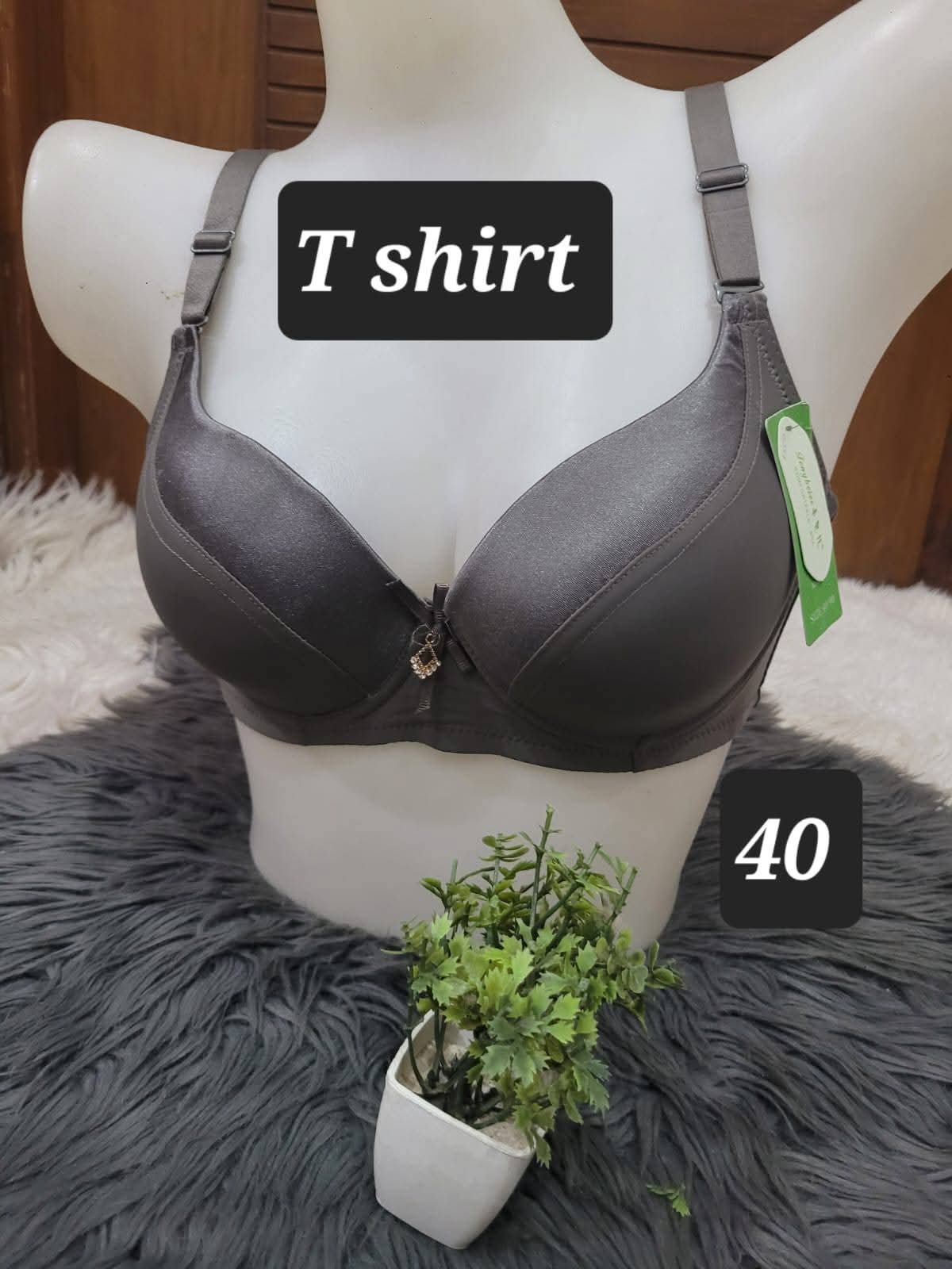 WhatsApp Image 2026-01-12 at 11.26.05 AM (1) Tina Secret "Lace-Luxury" T-Shirt Bra - Image 1